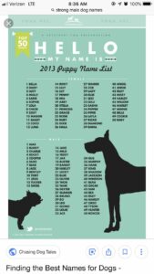 non-human-dog-names-male