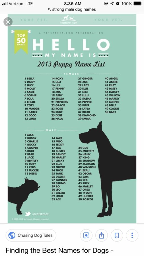 Non Human Dog Names Male