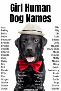 non-human-female-dog-names