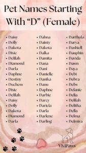 southern-dog-names-that-start-with-d