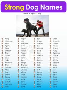 strong-dog-names-for-male-puppies