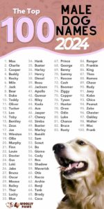 top-100-unique-male-dog-names-with-meaning