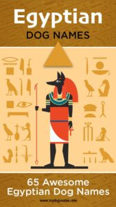 ancient-egyptian-inspired-dog-names