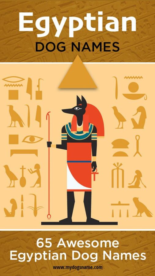 Ancient Egyptian Inspired Dog Names
