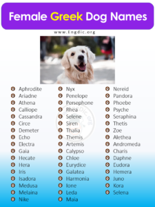 Ancient Greek Female Dog Names ancient-greek-female-dog-names