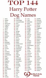 dog-names-from-harry-potter