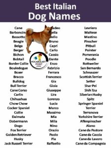 Dog Names From Other Languages dog-names-from-other-languages