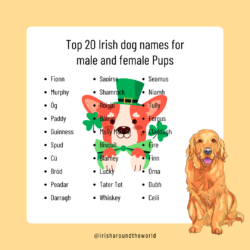 irish-mythology-female-dog-names