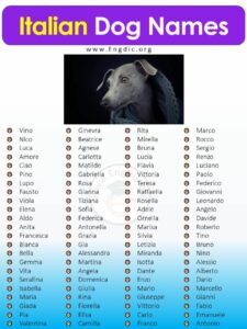 italian-dog-names-for-big-dogs