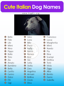 Italian Dog Names Inspired By Food italian-dog-names-inspired-by-food