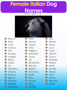 italian-girl-dog-names-and-meanings
