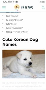 Korean Male Dog Names With Meaning korean-male-dog-names-with-meaning