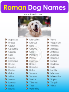 Roman Mythical Dog Names Female roman-mythical-dog-names-female