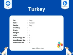 turkish-dog-names-with-meaning