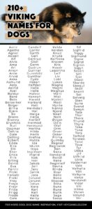 viking-male-dog-names-and-meanings