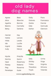 Classic Old Fashioned Dog Names classic-old-fashioned-dog-names