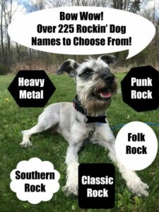 classic-rock-inspired-dog-names