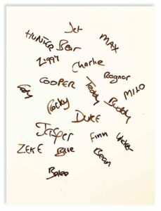classy-male-dog-names-with-meaning