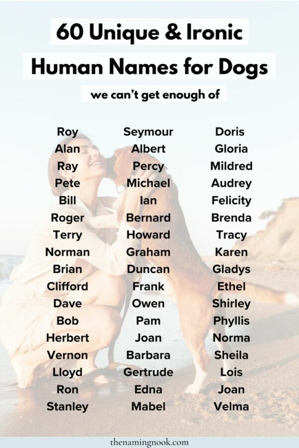 Dog Names That Are Also Human Names