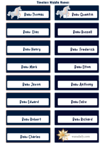 dog-names-that-go-with-beau