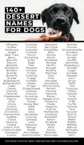 dog-names-that-go-with-biscuit