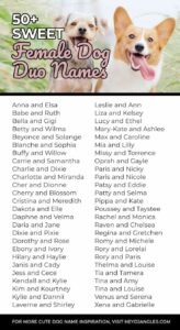 Dog Names That Go With Dixie dog-names-that-go-with-dixie