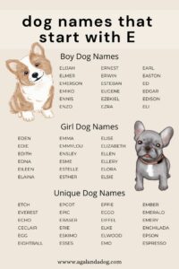 dog-names-that-go-with-echo