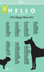 dog-names-that-go-with-gunner