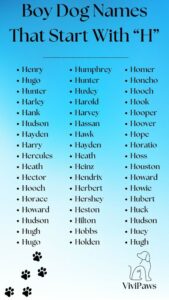 Dog Names That Go With Hank dog-names-that-go-with-hank