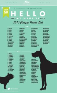 dog-names-that-go-with-marley
