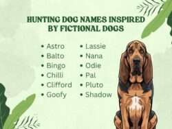 dog-names-that-go-with-maverick