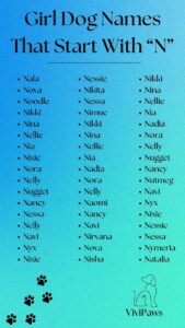 dog-names-that-go-with-nala