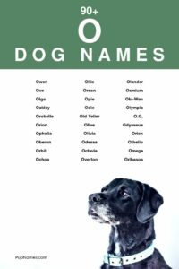 dog-names-that-go-with-oakley