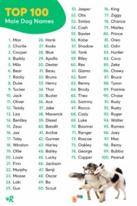 Dog Names That Go With Otis dog-names-that-go-with-otis