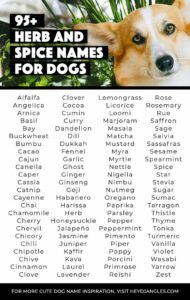 dog-names-that-go-with-pepper