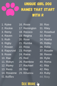 dog-names-that-go-with-rosie