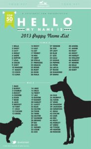 dog-names-that-go-with-roxy