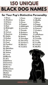 Dog Names That Go With Shadow dog-names-that-go-with-shadow