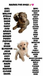 Dog Names That Go With Tucker dog-names-that-go-with-tucker