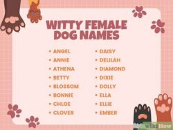 Dog Names That Go With Winnie dog-names-that-go-with-winnie