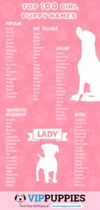 dog-names-that-rhyme-with-lucky
