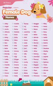 dog-names-born-in-january