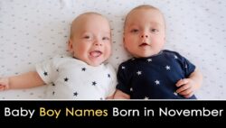 dog-names-born-in-november