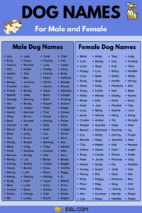 dog-names-born-in-october