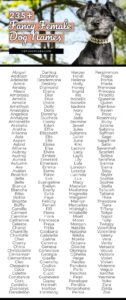 dog-names-born-on-valentines-day