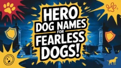 Dog Names That Mean Fearless dog-names-that-mean-fearless