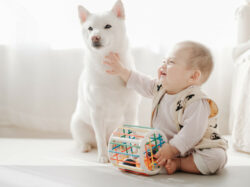 dog-names-that-mean-guardian