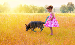 dog-names-that-mean-light