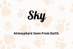 dog-names-that-mean-sky