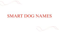 dog-names-that-mean-smart